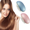 Portable Electric Ionic Hairbrush