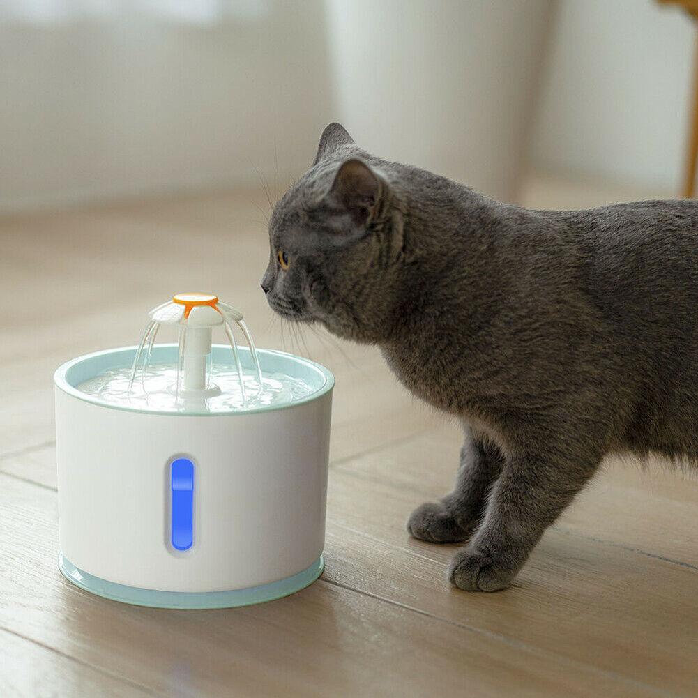 Pet Water Fountain