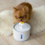 Pet Water Fountain